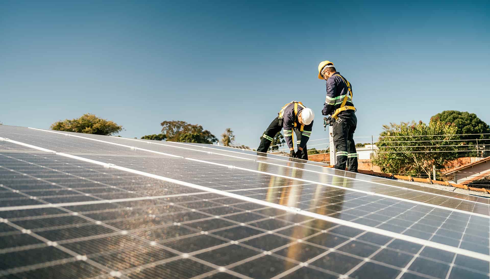 solar-growth-image